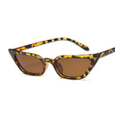 Óculos de Sol Feminino  AKLFHNC