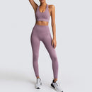 Conjunto fitness