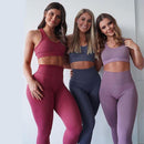 Conjunto fitness