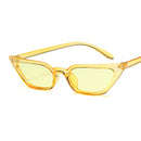 Óculos de Sol Feminino  AKLFHNC