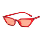Óculos de Sol Feminino  AKLFHNC