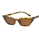 Óculos de Sol Feminino  AKLFHNC