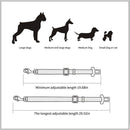 Cinto de segurança para Cães.